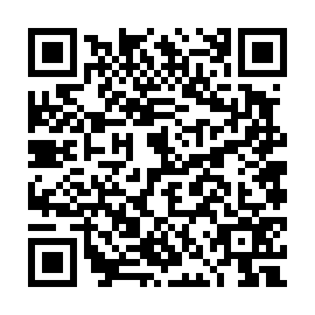 QR code for DNV-4767