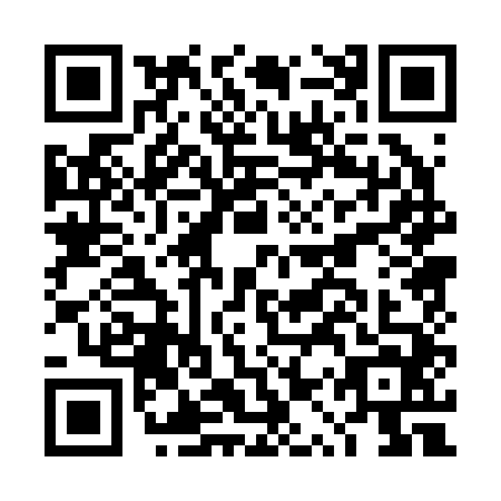 QR code for DQP-2446
