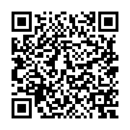 QR code for plate DQQ-8541