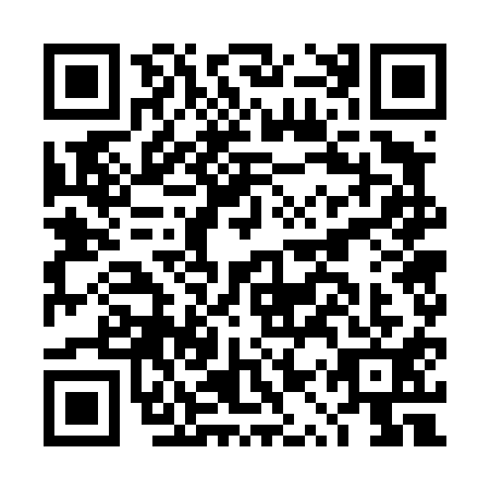 QR code for plate DQW-4113