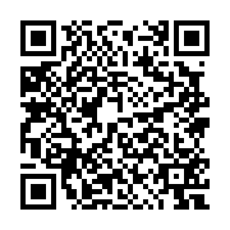 QR code for DQY-0533