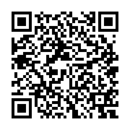 QR code for plate DSE-3113