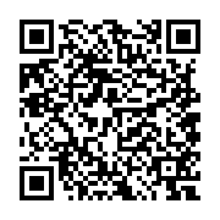 QR code for DSF-9529