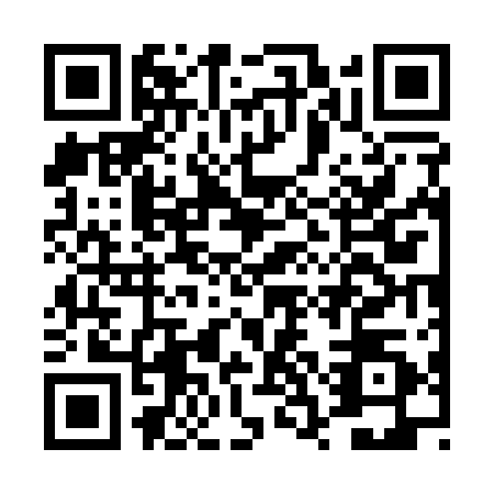 QR code for plate DSG-1105