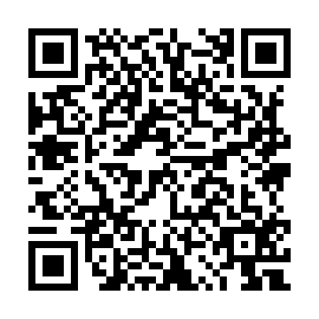 QR code for DSI9166