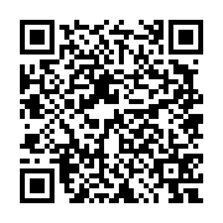QR code for plate DSJ-4753