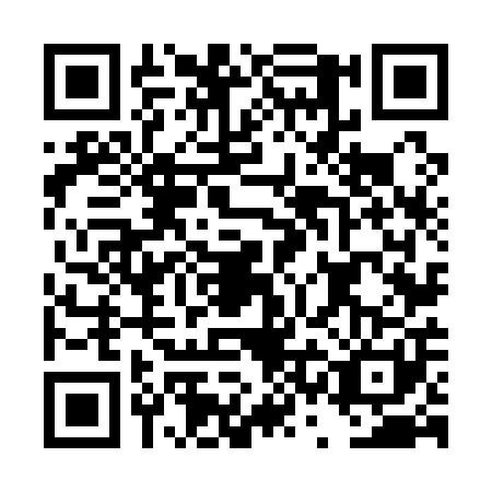 QR code for DSN-1017