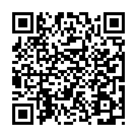 QR code for DSP-4653