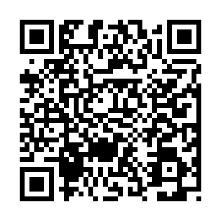 QR code for DSR-2868