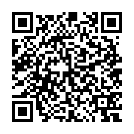 QR code for DSR6728