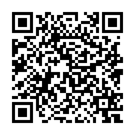 QR code for DSX-1251