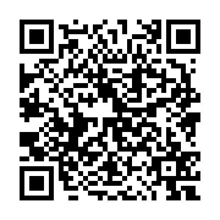 QR code for plate DSX-6370