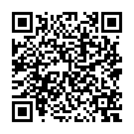 QR code for plate DSY-1047
