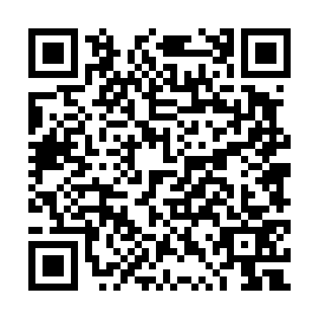 QR code for plate DTT-4737