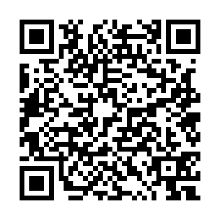 QR code for plate DTW-1311