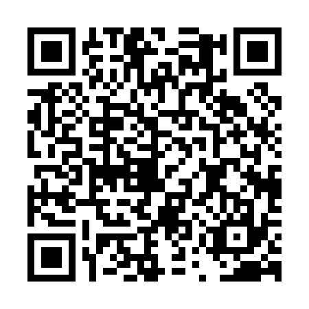QR code for DUP-0376