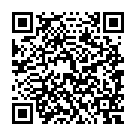 QR code for DUT3969