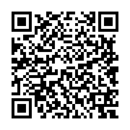 QR code for DUT8207