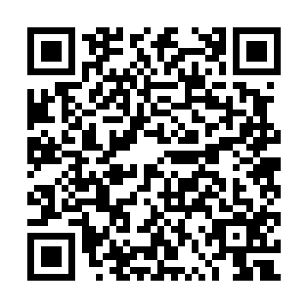 QR code for plate DVR-4161