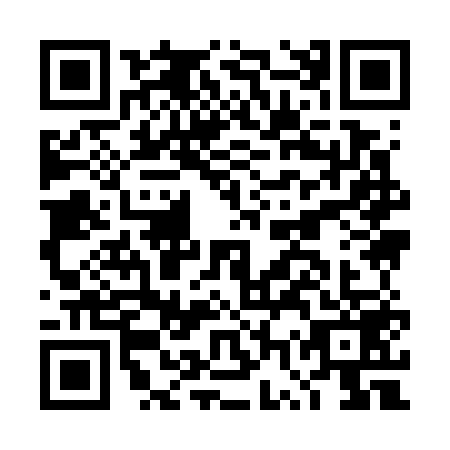 QR code for DWY-7597