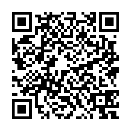 QR code for DXI0385