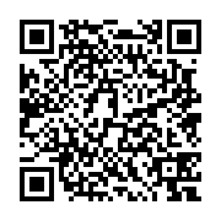 QR code for DXP0385