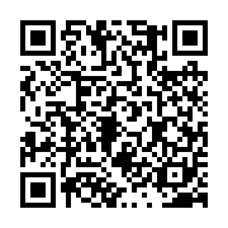 QR code for DYE-2519