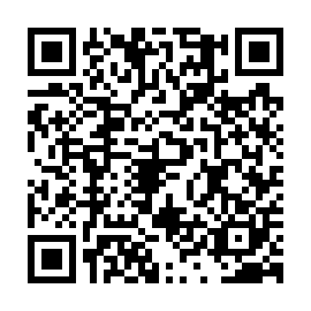 QR code for DYG7009