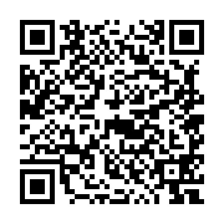 QR code for DYG8980