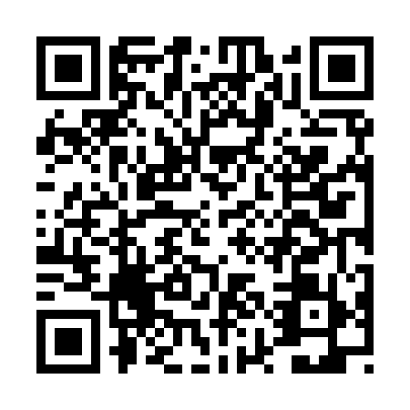 QR code for plate DYN-9590
