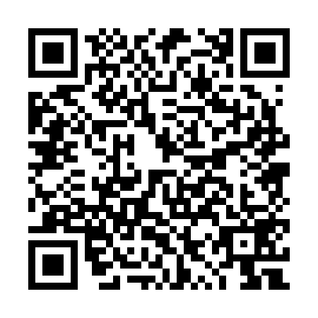 QR code for DYP-2594