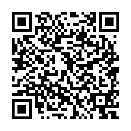 QR code for DYP-2905