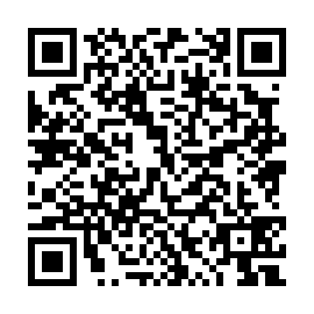 QR code for plate DYX-0393