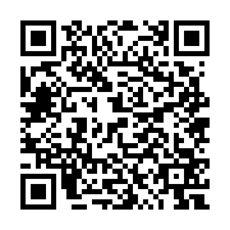 QR code for plate DYZ-7633