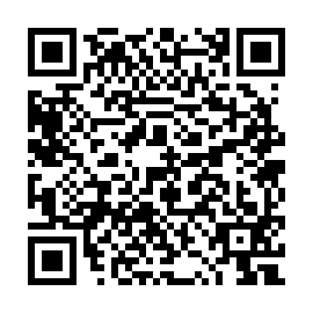 QR code for DZC-2938