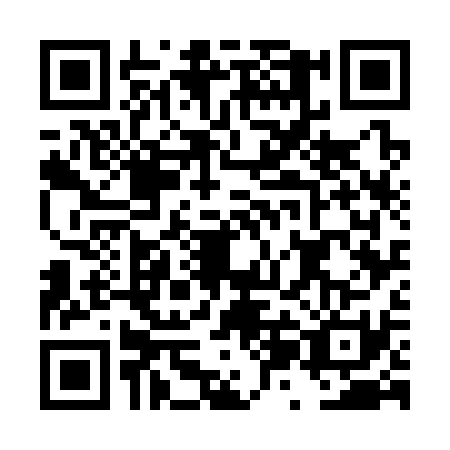 QR code for plate DZG-3313