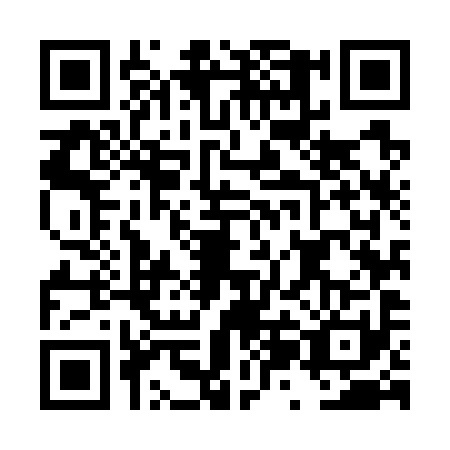 QR code for plate DZM-7913