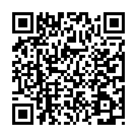 QR code for DZT2871