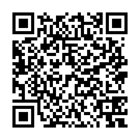 QR code for DZY7787