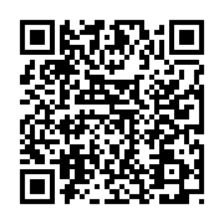 QR code for plate EBX-3919