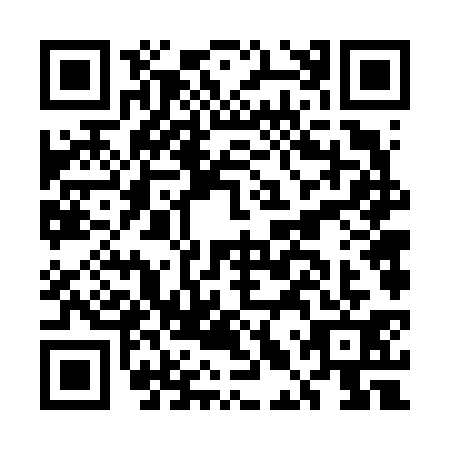 QR code for ELV-6313