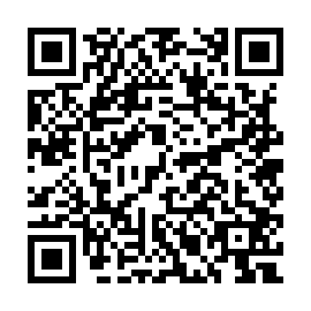 QR code for plate EMG-9029