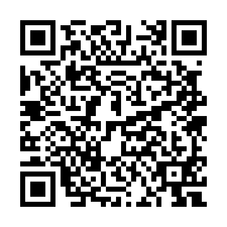 QR code for plate FFK-0919