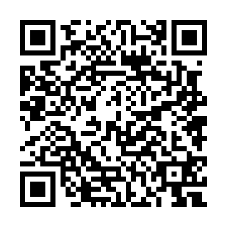 QR code for plate FGN-0205
