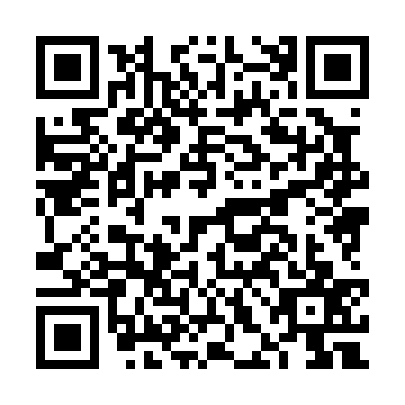 QR code for plate FHH-0376