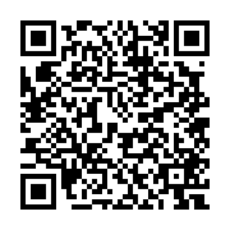 QR code for FIR-0493