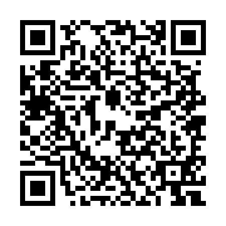 QR code for plate FIZ-5919