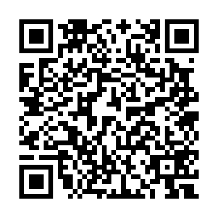 QR code for FJS-0597