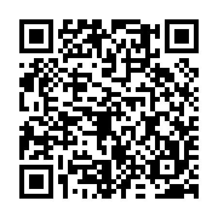QR code for FNS-0966