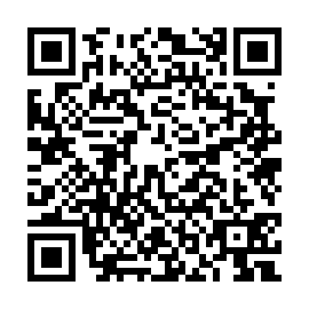 QR code for FOO-0313